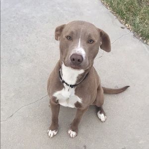 Meet your Posher, Jon